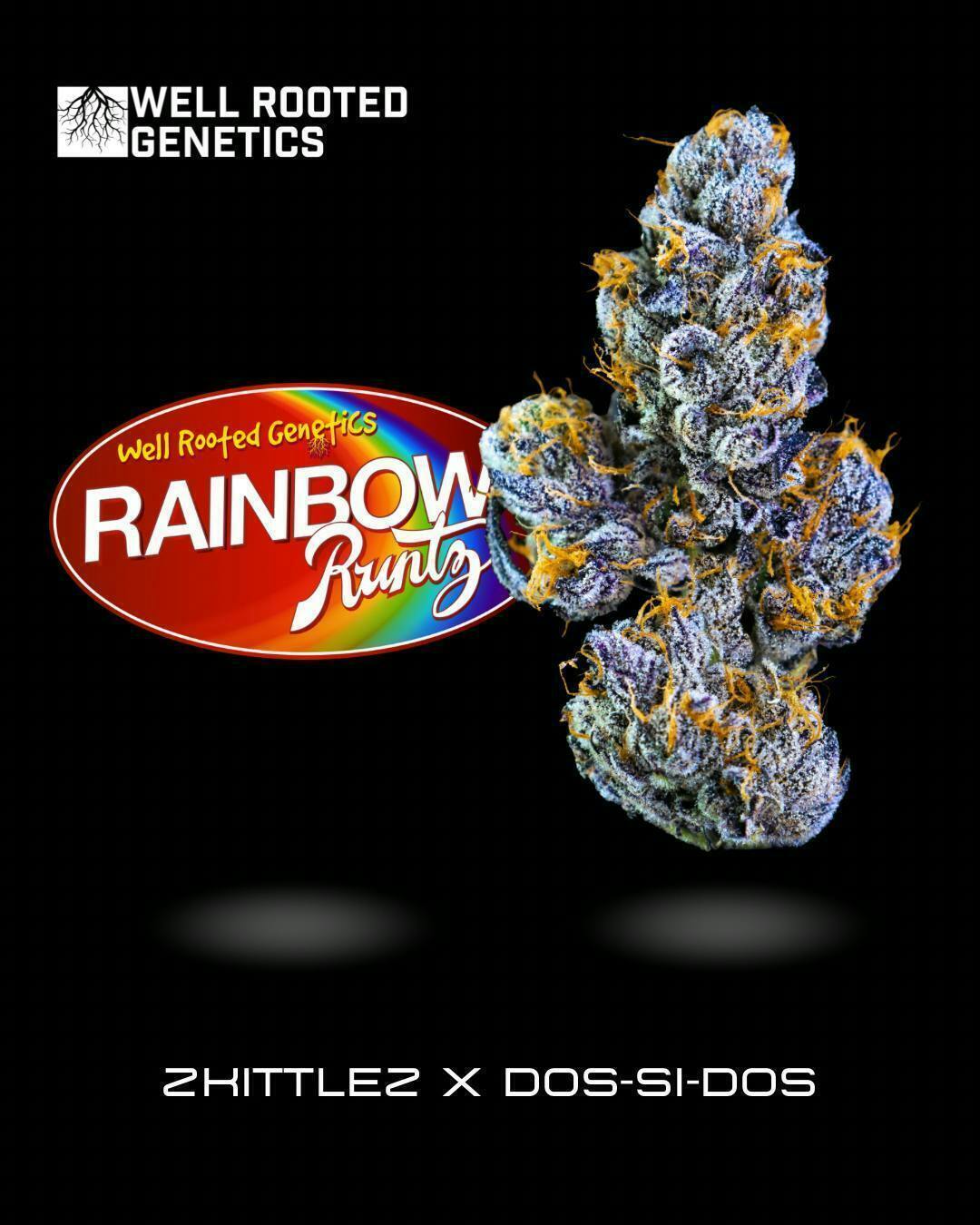 Well Rooted Genetics - Well Rooted Genetics | Rainbow Runtz | Big Buds | 3.5g - 1