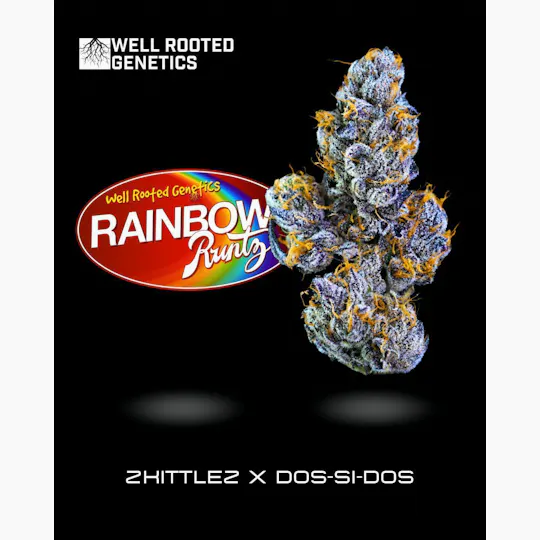 Well Rooted Genetics - Well Rooted Genetics | Rainbow Runtz | Big Buds | 3.5g - 1