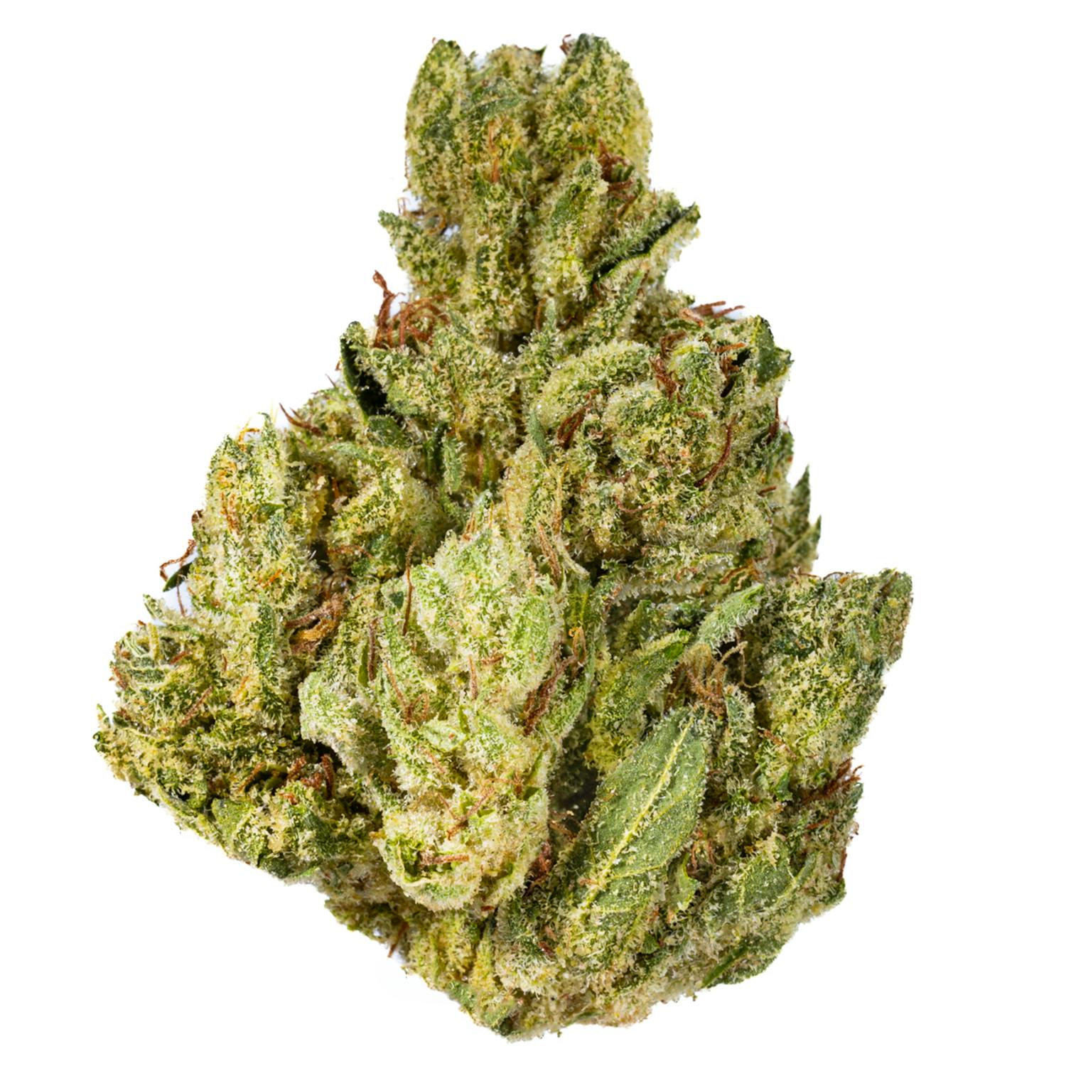 West Coast Cure - True OG - 14G Premium Flower - 1