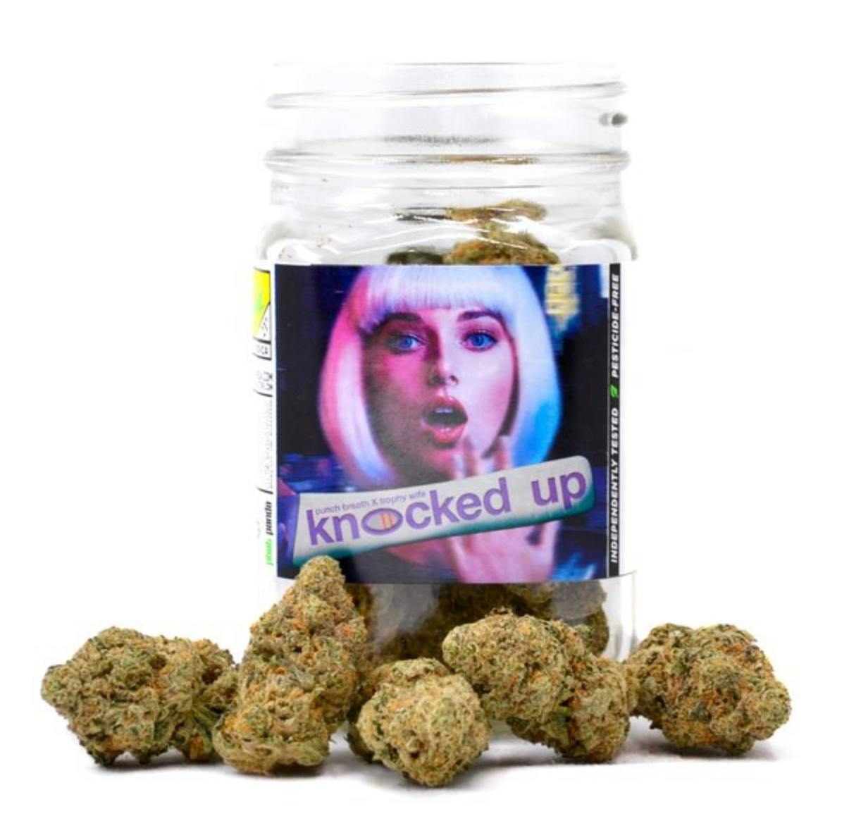 Phat Panda - Knocked Up | Big Buds | 14g - 1