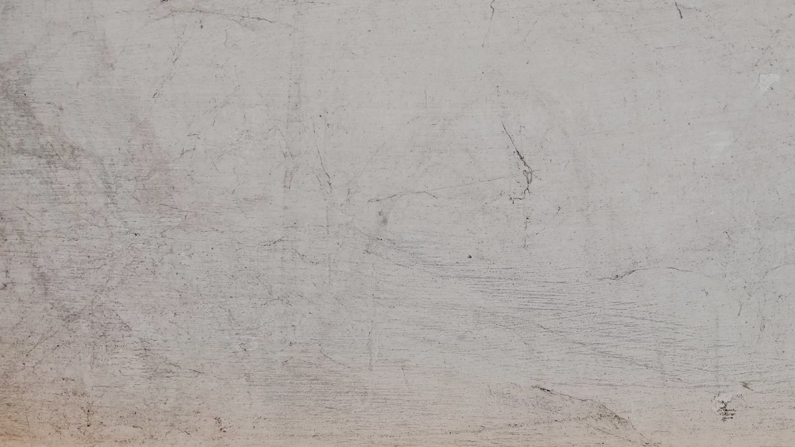 Casita Cutie Clean-up event image