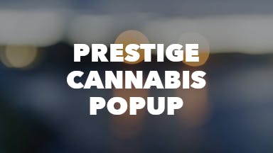 Prestige Cannabis PopUp event image