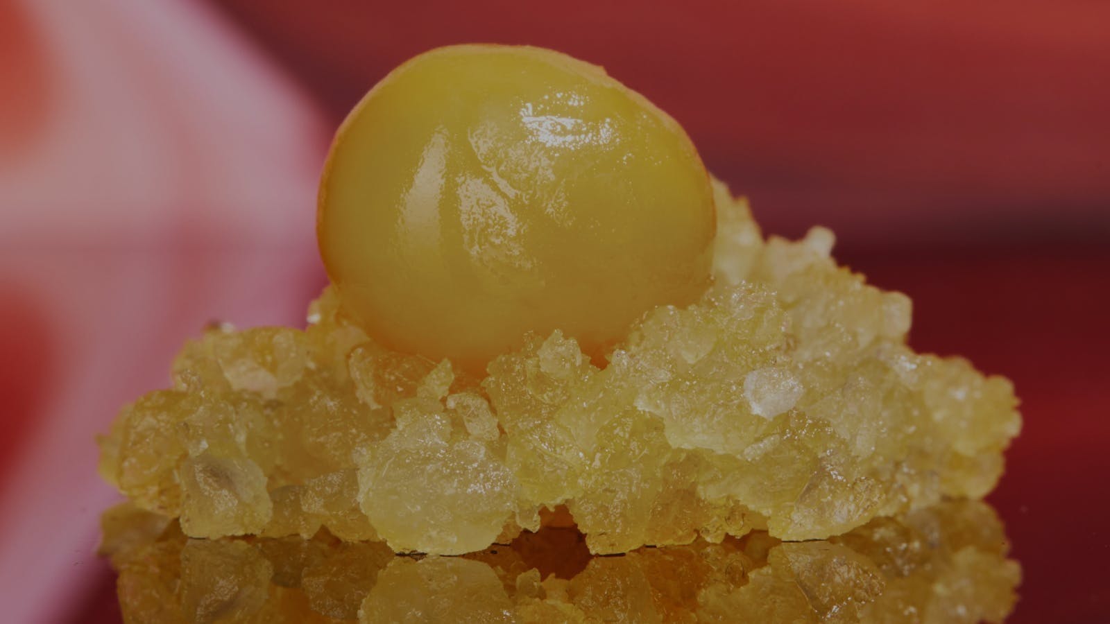 Trout & Co. Pop Up event image