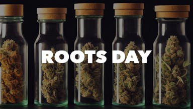 Roots Day event image