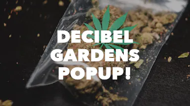Decibel Gardens Popup! event image