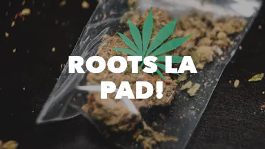 Roots LA PAD! event image