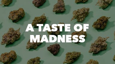 A Taste of Madness event image