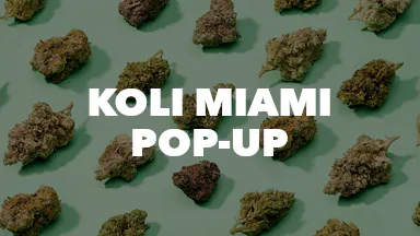 Koli Miami Pop-Up event image