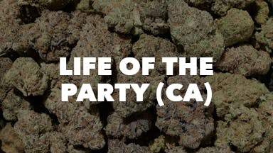 Life of the Party (CA) event image