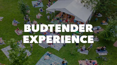 BUDTENDER EXPERIENCE event image