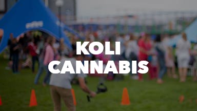 Koli Cannabis event image