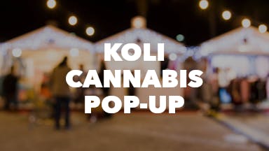 Koli Cannabis Pop-Up event image