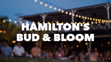 Hamilton's Bud & Bloom event image