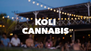 Koli Cannabis event image