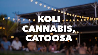 Koli Cannabis, Catoosa event image
