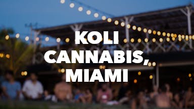 Koli Cannabis, Miami event image