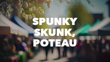 Spunky Skunk, Poteau event image