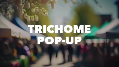 Trichome Pop-Up event image
