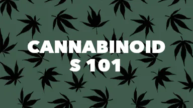 Cannabinoids 101 event image