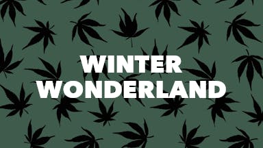 Winter Wonderland event image