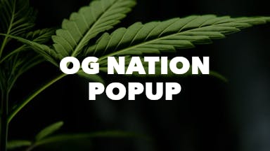 OG Nation PopUp event image