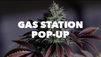 Gas Station Pop-Up event image
