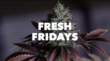 Fresh Fridays event image