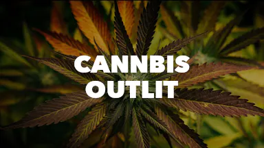 Cannbis Outlit event image