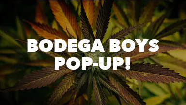 Bodega Boys Pop-Up! event image
