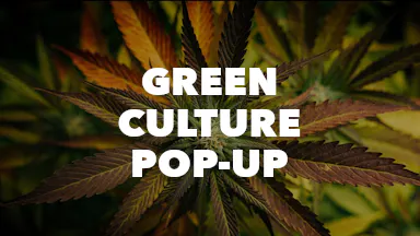 Green Culture Pop-Up event image