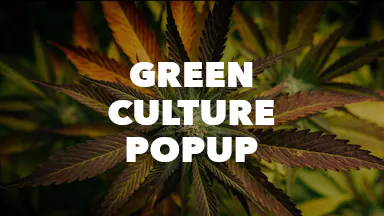 Green Culture PopUp event image