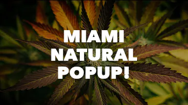 Miami Natural PopUp! event image