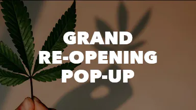 Grand Re-Opening Pop-Up event image