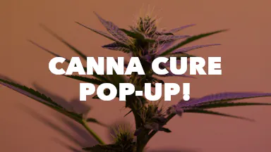 Canna Cure Pop-Up! event image