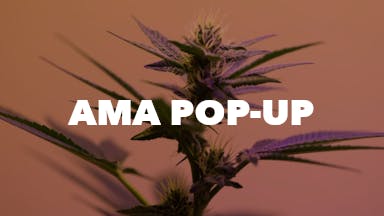 AMA Pop-Up event image
