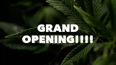 Grand Opening!!!! event image
