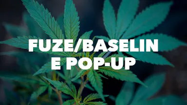 Fuze/Baseline Pop-Up event image