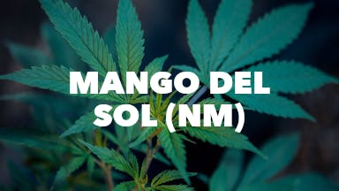 Mango Del Sol (NM) event image