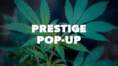 Prestige Pop-Up event image