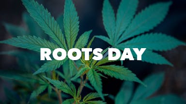 Roots Day event image