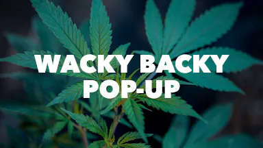 Wacky Backy Pop-Up event image
