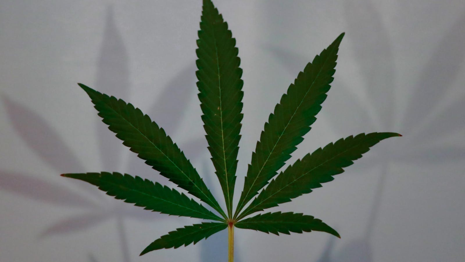 High Roller & Friends event image