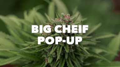 Big Cheif Pop-Up event image