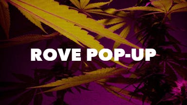Rove Pop-Up event image