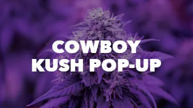 Cowboy Kush Pop-Up event image