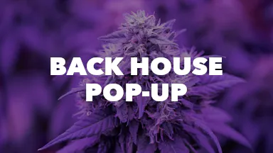 Back House Pop-Up event image
