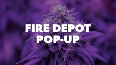 Fire Depot Pop-Up event image