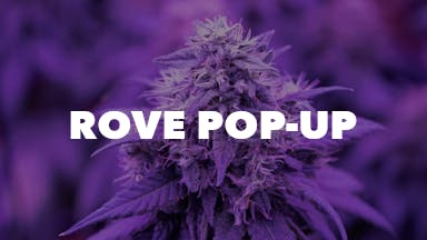 Rove Pop-Up event image