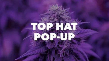 Top Hat Pop-Up event image