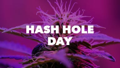 Hash Hole Day event image